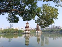-宝岛公园