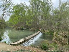 -桤木河湿地公园
