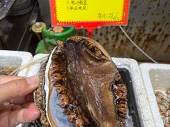-蚝专家(北滘店)