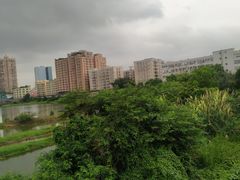 -立新湖公园