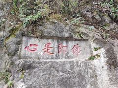 -黔灵山公园
