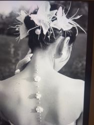 -金夫人婚纱摄影(华南店)