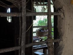 -海南槟榔谷黎苗文化旅游区
