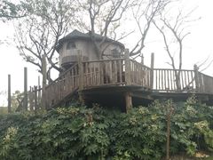 -田园东方蜜桃村的田野营地