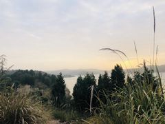 -仙海旅游度假区