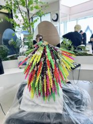 -BEAUTY HAIR GANO
