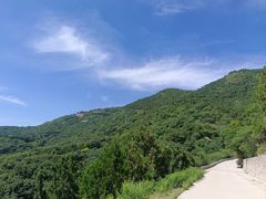 -北京西山国家森林公园