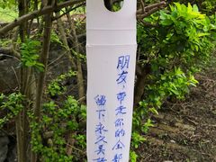 -长寿村