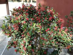 -冶父山国家森林公园