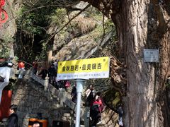 -大慈岩风景区