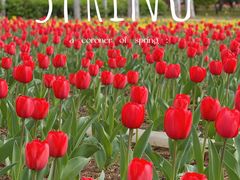 -郑州中国绿化博览园