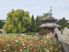 -莲池书院博物馆
