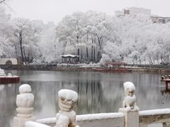 -西宁市人民公园(城西区)