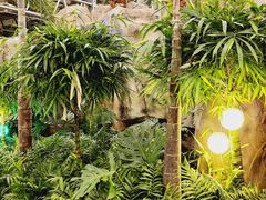 -南宫五洲植物乐园