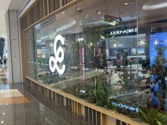 -gaga(深圳京基KKMALL店)