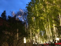 -奈雪的茶(大悦城店)