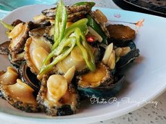 麻辣小鲍鱼-巧克力渔家.小船海鲜家常菜(万平口店)