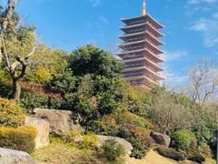 -牛首山文化旅游区