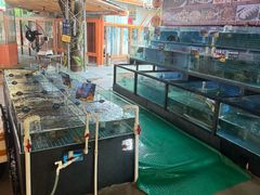 -陶缘一号·四季缘·老字号顺德菜·户外婚礼家宴(西滘店)