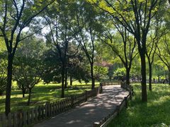 -莲花池公园