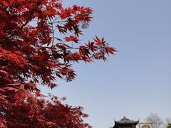 -相门城墙文化休闲景区