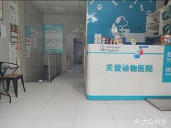 -关爱动物医院·心脏·中兽医·异宠(金牛路分院)
