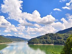 -四明山国家森林公园