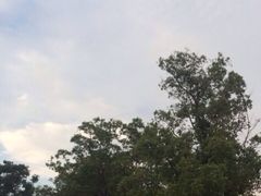 iphone_upload_pic-上海玫瑰园度假酒店