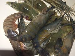 -加餐海鲜自助(集美银泰百货店)