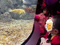 -福州罗源湾海洋世界旅游区