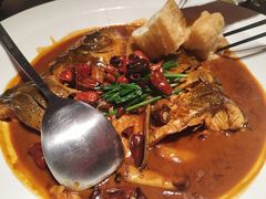 -鸽子侯·家宴·平价海鲜(市图书馆店)