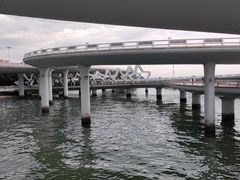 -演武大桥观景平台