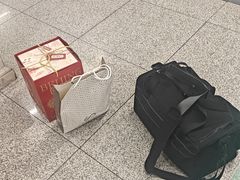 -北京稻香村(零号店)