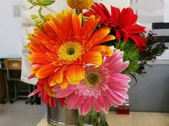 -迎燕阁烤羊腿(二环南路店)