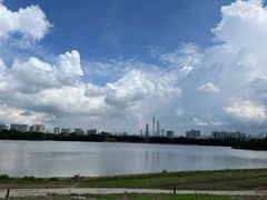 -海珠湖公园