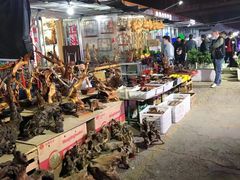 -中环花鸟鱼虫市场