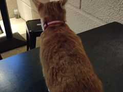 -逃脱反斗城沉浸剧情密室(北京路店)