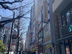 -秋叶原电器街