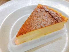 -狐狸和向日葵(北京路店)