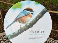 -东莞植物园