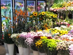 -双季花艺园艺市场(浦东店)