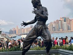 -星光大道