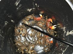 -吴淞炮台湾湿地森林公园烧烤区
