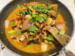 -阿露佳·舌尖上的安吉菜