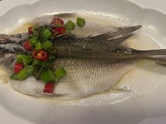 -海派悦庭·海胆烧麦·新融合菜(凯德广场店)