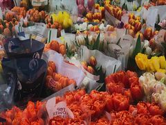 -循礼门鲜花花市(武汉循礼门店)