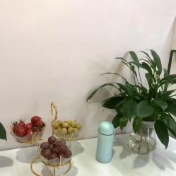 -天使医生VIP孕期孕检产检(市二医院店)
