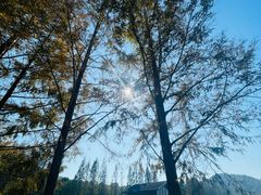 -东钱湖旅游度假区