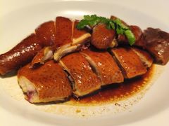 -新兴·金羊座·粤菜点心(乐峰店)