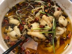 -子霖南山鲜虾面(南山总店)